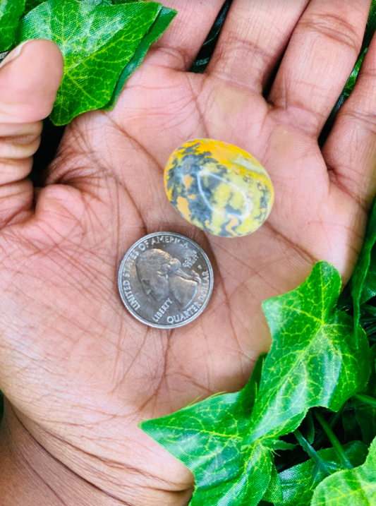 Bumblebee Jasper Nugget