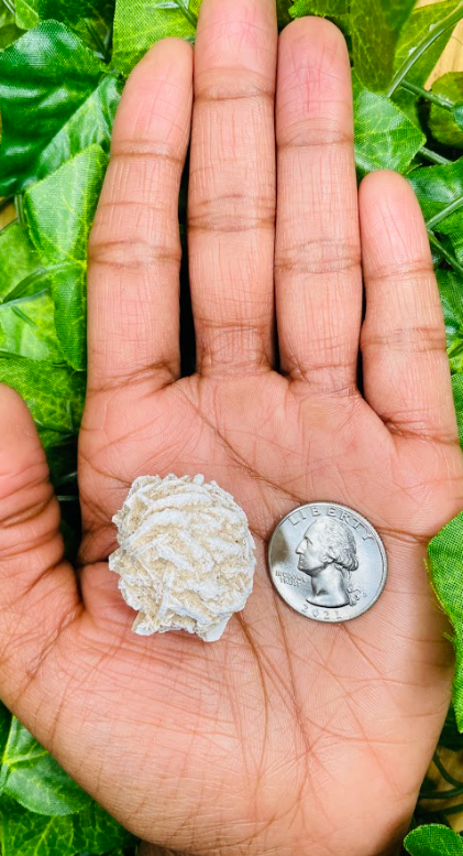 Desert Rose