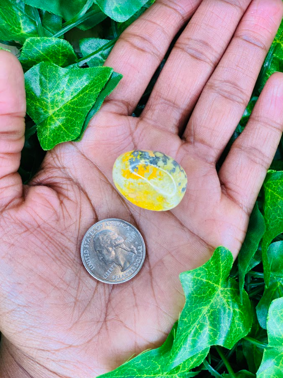 Bumblebee Jasper Nugget