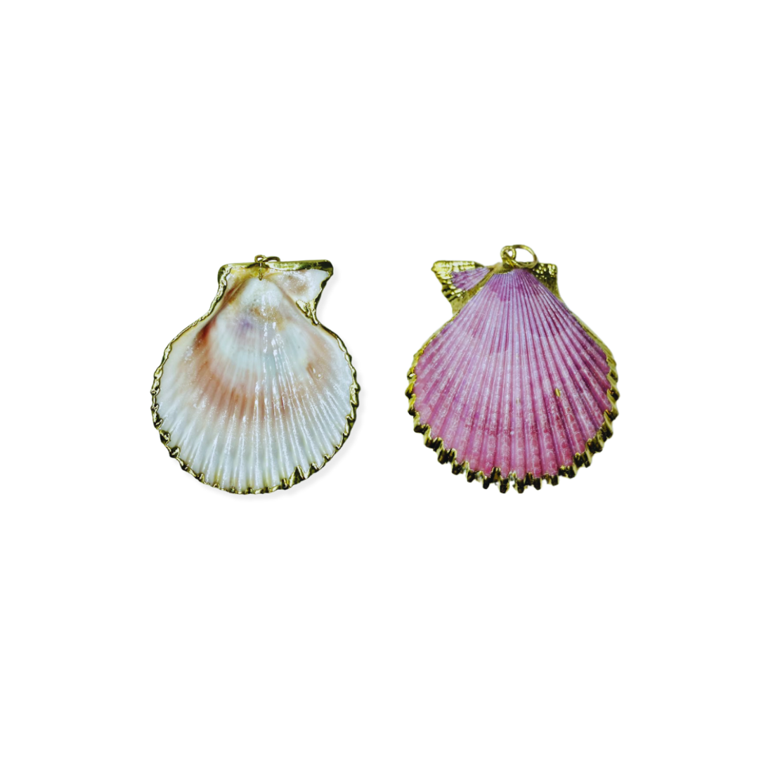 Real Shell Pendant Necklace adorned with Gold