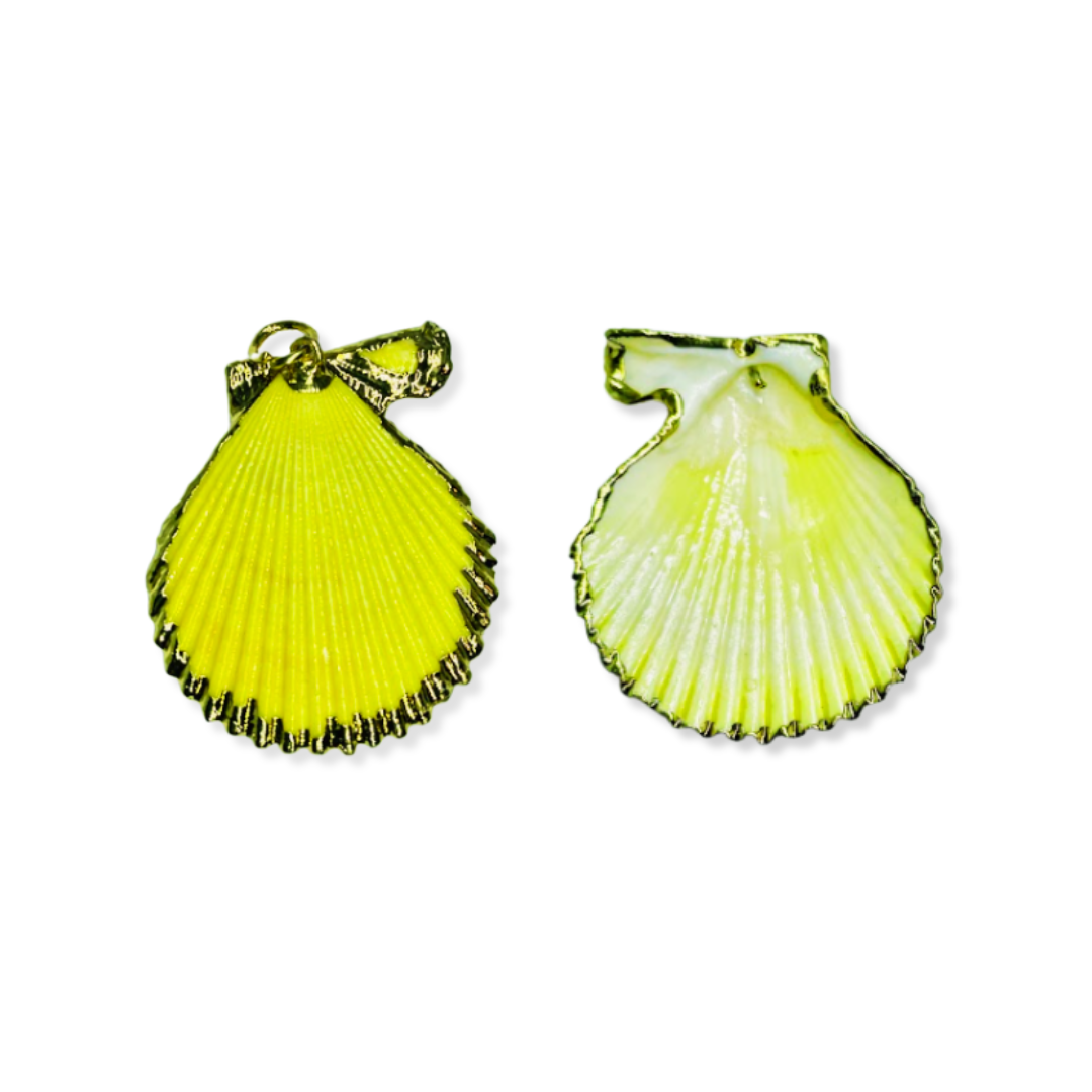 Real Shell Pendant Necklace adorned with Gold