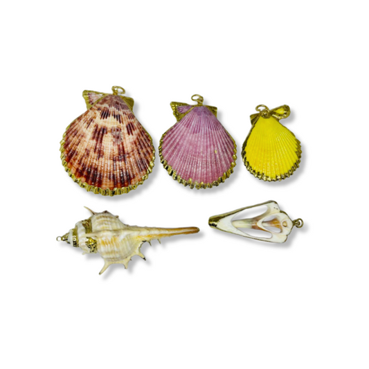 Real Shell Pendant Necklace adorned with Gold
