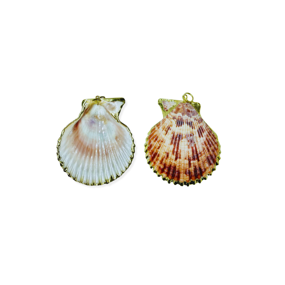 Real Shell Pendant Necklace adorned with Gold
