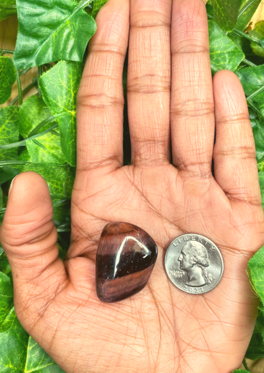 Red Tigers Eye